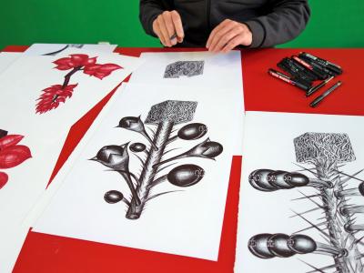 Korte Cursus Botanisch Tekenen
