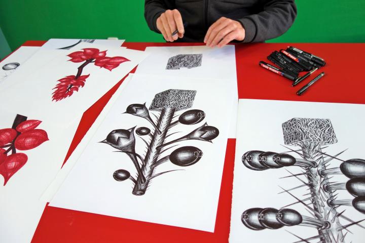 Korte Cursus Botanisch Tekenen