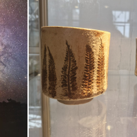 Expositie 'Natuurlijke Verbondenheid'