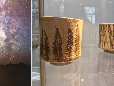 Expositie 'Natuurlijke Verbondenheid'