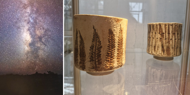 Expositie 'Natuurlijke Verbondenheid'