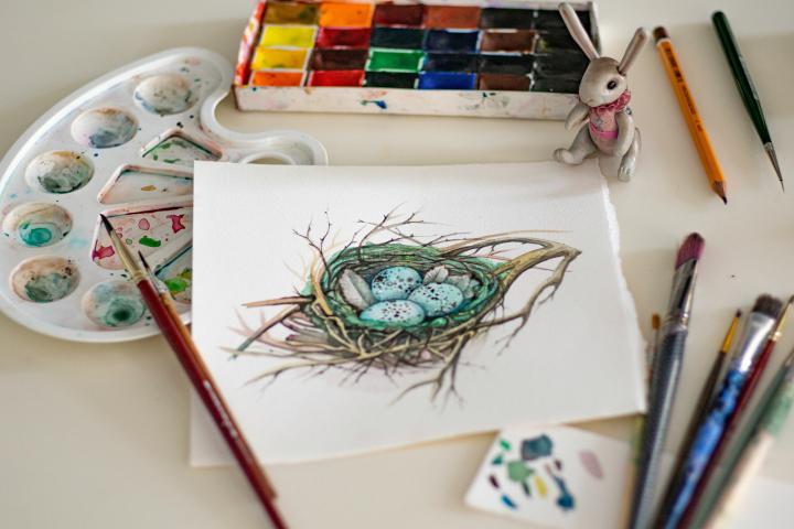 Kennismaking Met Illustreren